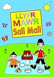Llyfr Mawr Sali Mali