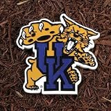 KENTUCKY WILDCATS OFFICIAL GARDEN STEPPING STONE