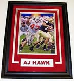 AJ Hawk Autographed Ohio State Buckeyes 8x10 Photo sacking Brady Quinn ~ CUSTOM FRAMED