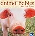 Animal Babies On the Farm