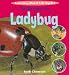 Search : The Life Cycle of a Ladybug (Learning About Life Cycles)