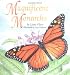 Books : Magnificent Monarchs