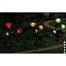 Solar Rose Lights (Pink, Yellow and White), Solar 