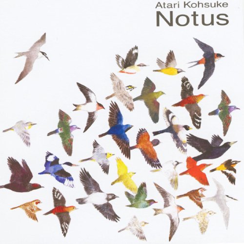 Notus
