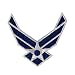 Hot Leathers, US AIR FORCE LOGO, Exceptional Quality Iron-On / Saw-On, Heat Sealed Backing Rayon PATCH - 3