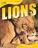 Lions