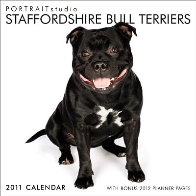 Portrait Studio Staffordshire Bull Terriers Multilingual