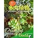 ��ĂĂ݂���!�����������A�� (���pBEST BOOKS)