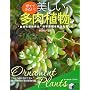 ��ĂĂ݂���!�����������A�� (���pBEST BOOKS)