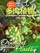 美しい多肉植物―育ててみたい! (実用BEST BOOKS)