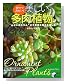 美しい多肉植物 - 育ててみたい! (実用BEST BOOKS)