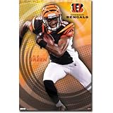 (22x34) Cincinnati Bengals A.J. Green Sports Poster Print
