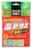 Kokubo ONNETSUKAISOKU Japanese Warming Refresh Pads - 1 Treatment (1 Pack, 2 Pads)