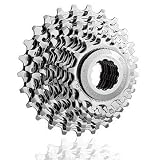 Miche Primato 10spd Campagnolo Cassette