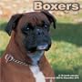 Boxers 2010 Wall Calendar