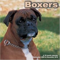 Boxers 2010 Wall Calendar