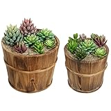 Set of 2 Country Rustic Brown Wood Succulent Pots Planters / Flower Buckets - MyGift®