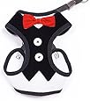 BINGPET Velvet Red Bowtie Gentleman Suit Boy Dog Tuxedo Easy Walk Harness Vest for Dogs with Handle Medium