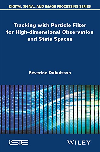 Tracking with Particle Filter for High-dimensional Observation and State Spaces