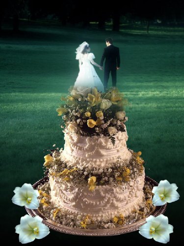 Wedding Planning Guide for the Modern Bride Who 