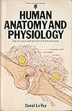 Human anatomy and physiology