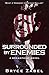 Surrounded by Enemies: A Breakpoint Novel