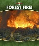 Forest fire!