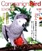 Companion Bird No.8 (2007)
