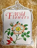 Wild flowers