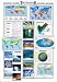 Search : Poster The Weather - Rolled