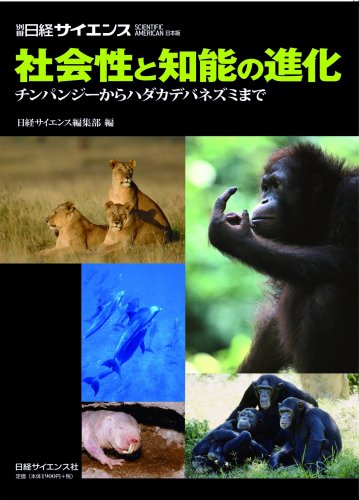 Cover image : 社会性と知能の進化―チンパンジーからハダカデバネズミまで (別冊日経サイエンス 155)