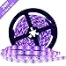 YGS-Tech 24 Watts UV Black Light LED Strip, 16.4FT/5M 3528 300LEDs 395nm-405nm Waterproof IP65 Blacklight Night Fishing Sterilization implicitly Party with 12V 2A Power Supply