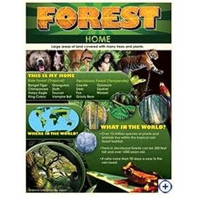 FOREST HOME CHEAP CHART GR 3-6