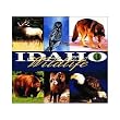 Idaho Wildlife Coverlet