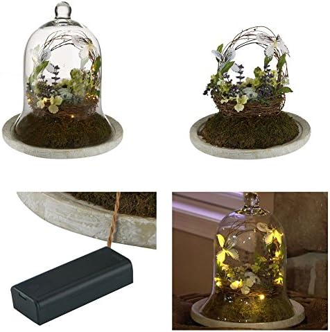 13" High Glass Dome Birdnest/flower Terrarium W/wood Base W/lites Fairy Garden