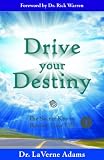 Drive Your Destiny: The Secret Key to Reveiw Your Life - Vol. 1 (English Edition)