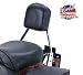 New Genuine Kawasaki Motorcycle Backrest, Passenger / Fits Most Kawasaki Vulcan 1600 Models / Pt # K53043-070