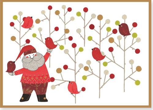 Santa with Birds Deluxed Boxed Holiday Cards (Christmas Cards, Holiday Cards, Greeting Cards)