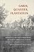 Cabin, Quarter, Plantation: Architecture and Landscapes of North American Slavery