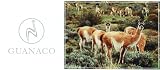 西川グアナコ毛布　GUANACO BLANKET　／シングル