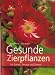 Gesunde Zierpflanzen at Amazon: 51pTODThMIL._SL75_