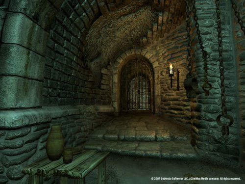 Cover image : The Elder Scrolls IV: Oblivion Game of the Year Edition(輸入版:北米)