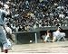 Pete Rose Cincinnati Reds Headfirst Slide 8x10 Photo