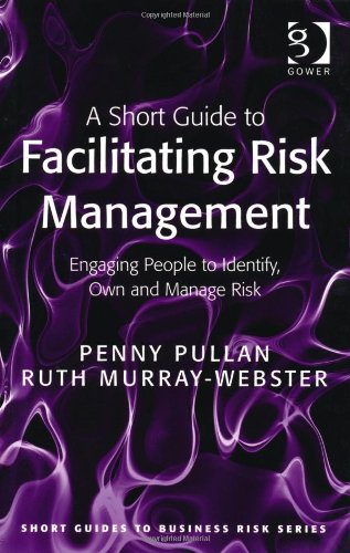 A Short Guide to Facilitating Risk Management (Short Guides to Business Risk)