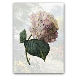 Hortensia Combo 2 - 5" x 7" Vellum Overlay Greeting Card