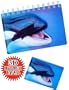 3D Whales Marine Life Themed Notepad & Magnet Souvenir Stationery Gift Set