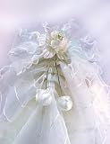 Dog Wedding Dress