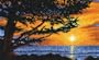 Wonderart Latch Hook Kit 30 Inch X50 Inch -Monterey Sunset