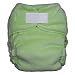Thirsties Fab Fitted Cloth Diaper - Celery, Medium