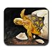 Gopher Tortoise Hatching Mousepad Turtle Art Print Mouse Pad